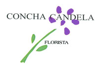 Concha Candela